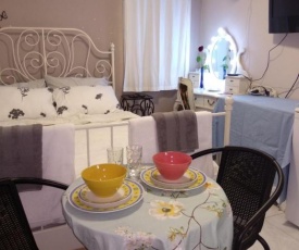 Designed Luxury room near TLV
