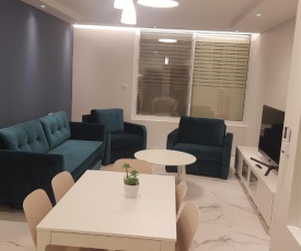 Family comfort king David apartments