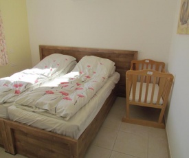 Family Zimmer