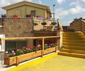 Garden on TOP of the WORLD צימר על גג העולם