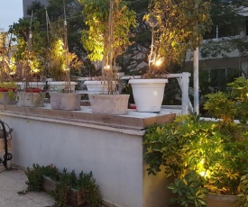 Green Leaves TLV, roof apartment, 2 rooms