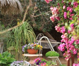 Idan Lodge in the Arava