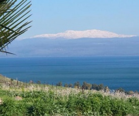 Kinneret View