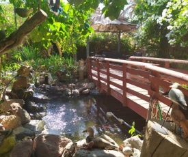 Lotus turtle garden Eilat