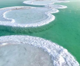 Nadia Hosting Dead Sea