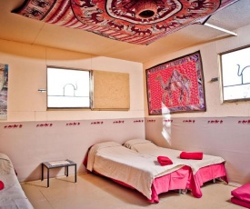 Negev Camel Ranch