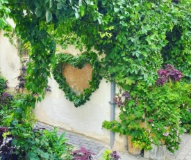 neve tzedek heart