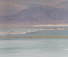 Olala Desert Shades Apartments