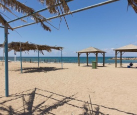 Olive Dolphin Village