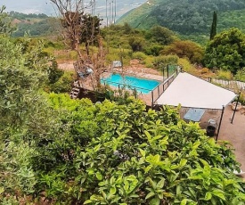 Panoramic View