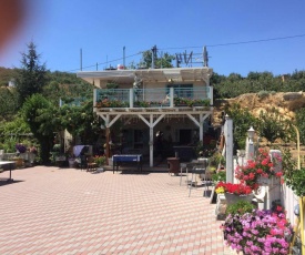 Paradise House