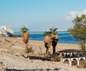 Rose Dead Sea Neve Zohar