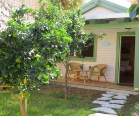 Anat's Cabin הצימר של ענת