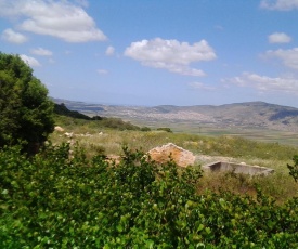 Shapira in the Galilee