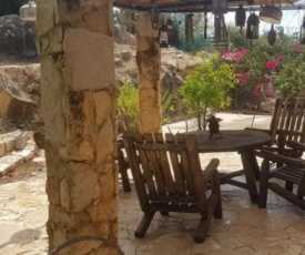 Shira's