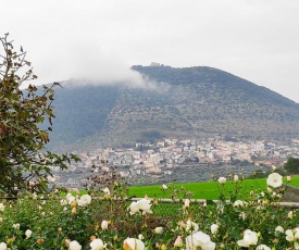 Tavorinio
