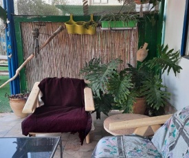 The Green House - הבית הירוק