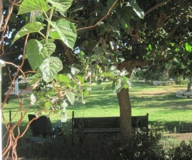 The House By The Mulberry Tree