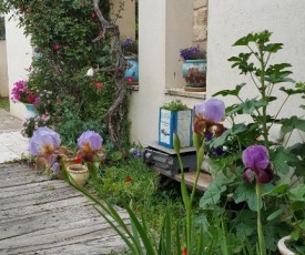 The House of Taly & Erez