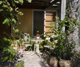 The OLive Tree