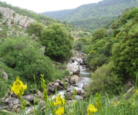 Tourism in the village