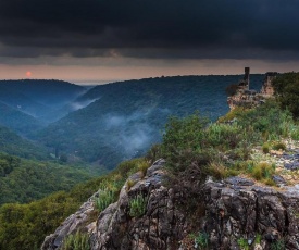 Tzlil Monfort