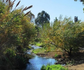 Villa by the river facing the Hermon in Dafna