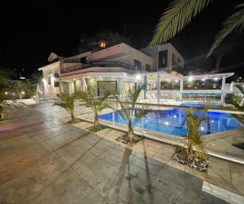 Villa white-design