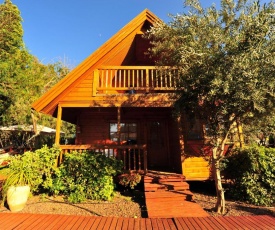 Arbel Holiday Homes