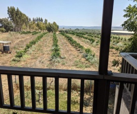 Yohay casa tal shahar