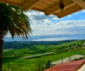 Zachi house