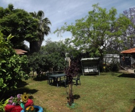 Zimmer In The Garden