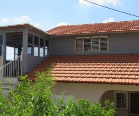 בין יער לים