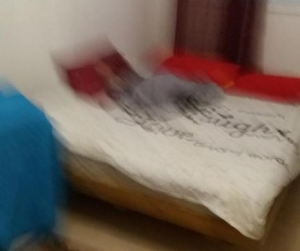 חיפה