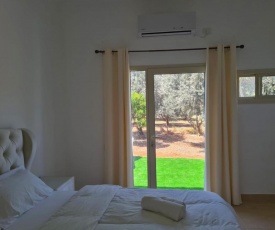 פינה בצל הזית