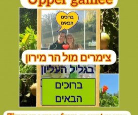 צימרים מול הר מירון צבעון