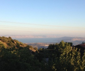 Aviv - Bakfar in Amirim