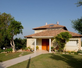 B&B Bait Bagiva