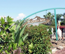 Blue Green Village