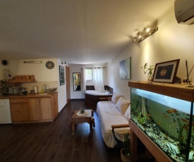 Bubas place