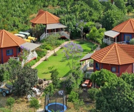 Cabin on the hill