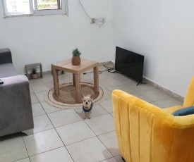 Chicky's place