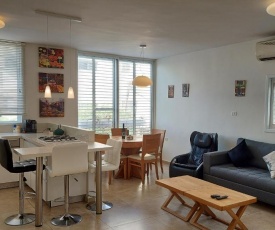 Comfortable Apartment